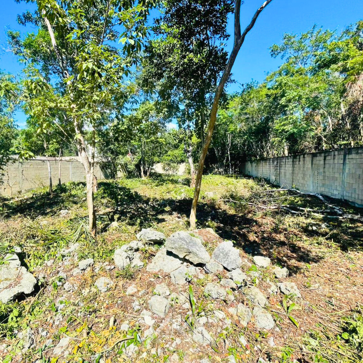 Bonampak (2)